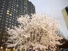 -红星美凯龙北京至尊MALL(东四环中路店)