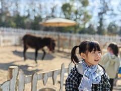 -前小桔亲子创意农场·草莓采摘·露营烧烤