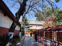 -护国法轮寺