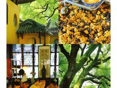 -西园戒幢律寺