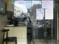 -瑞派天使宠物医院·神经外科·骨科·核磁(洛川中路店)