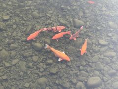 -THE BOX朝外年轻力中心