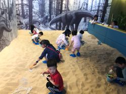 -恐龙探索乐园(磁器口店)