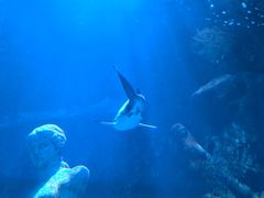 -太平洋海底世界