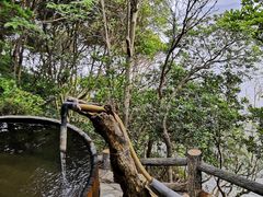 -南紀白浜 浜千鳥の湯 海舟