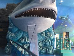 -多彩贵州城极地海洋世界