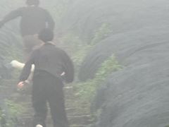 -东白山