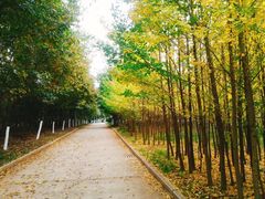 -云南师范大学(一二一西南联大校区)