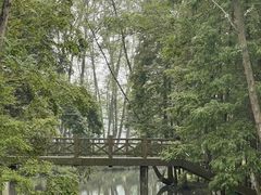 -桤木河湿地公园