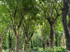 -华南国家植物园-售票处