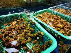 -鑫悦楼煎蟹·16年海鲜大排档