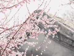 -三里河公园