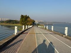 -贡湖湾湿地公园