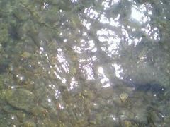 -华蓥山天意谷景区