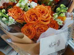 -植物学家的女儿(北马道巷店)