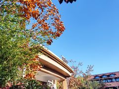 -大连金石滩绿发温泉假日酒店