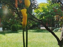 -九献创意菜·牛排馆(亮马河花园店)