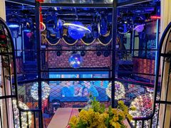 -探花礼音乐餐吧(长安店)
