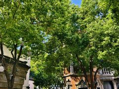 -Mammamia意大利餐厅(阳春巷店)