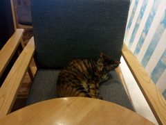 -猫的天空之城概念书店(杭州南宋御街店)