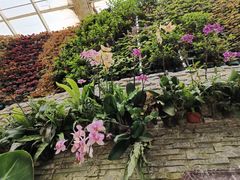 -石家庄市植物园
