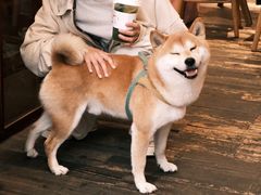 -三目仓咖啡(贤南路店)