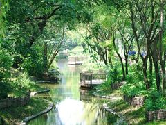 -北坞公园