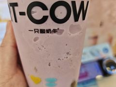 -一只酸奶牛(八一路店)