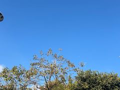 -苍山感通索道