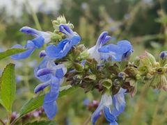 -昆山城市生态森林公园
