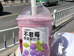 -一只酸奶牛(丹尼斯大卫城店)
