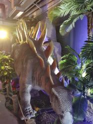 -恐龙探索乐园(磁器口店)