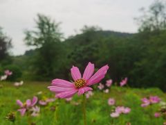 -京津新城温德姆至尊酒店(珠江大道店)