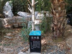 -河源客天下-温泉小镇