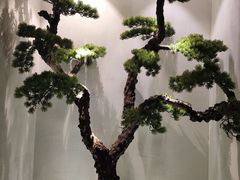 -春天来了(印象新天地店)