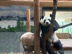 -西安秦岭野生动物园