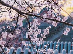 -颐和园