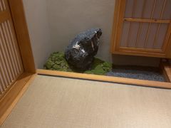 -月龍吟(朝龙汇店)