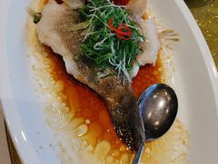 -皇朝尊会(龙之梦大酒店)