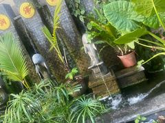 -润泽园椰子鸡(汇一城店)