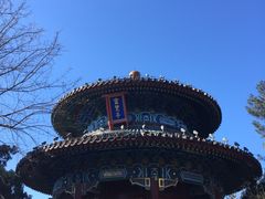 -景山公园