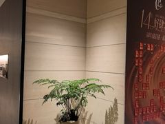 -汤泉良子·沐足·颂钵疗愈·SPA(珠江新城店)