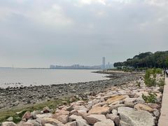 -深圳湾公园(南山区)