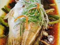 -新南华大酒店(广中店)