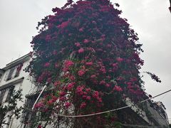 -宋记海南粉传承老店(人民西路店)