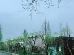-西湖天地
