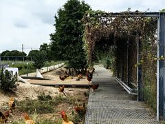 -祝甸砖窑文化馆