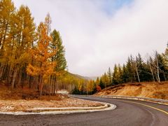 -塞罕坝国家级自然保护区