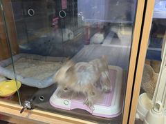 -FAELING PETS美天灵宠物(富力广场店)