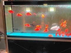 -臻享养生·SPA·影院式足道(汇臻店)